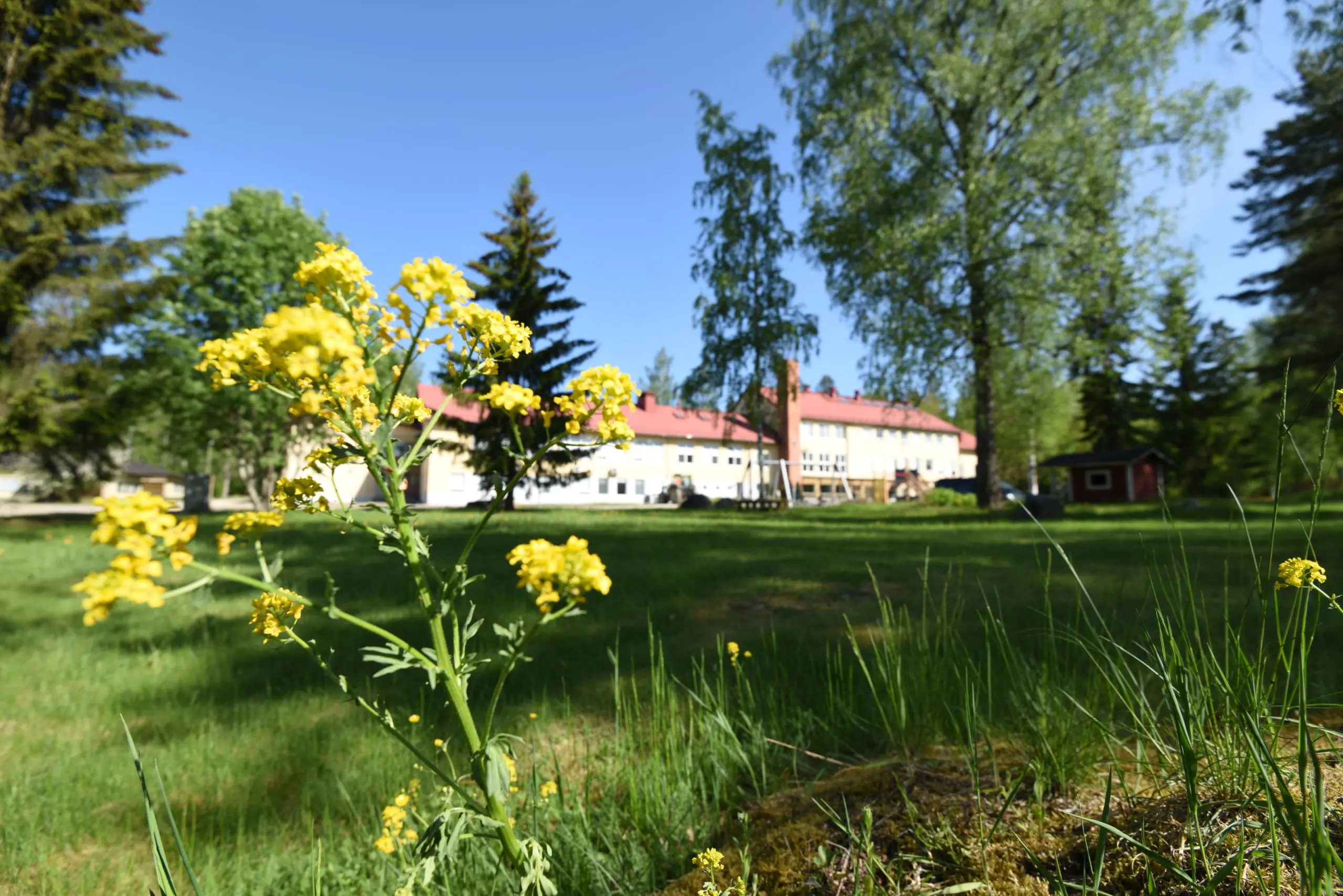 Kuva rehtoreista
